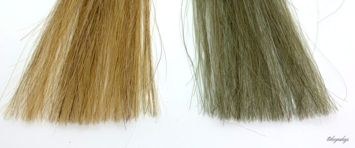 検証】エヌドットカラーシャンプー（シルバー）を口コミ評価 | ぼくの  