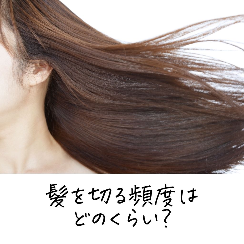 髪の毛 切る 頻度